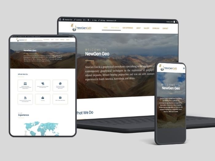 NewGen Geo website preview